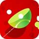 Cutting Ball
